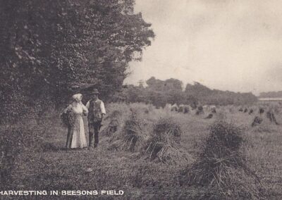 Beeson's Field Prestwood