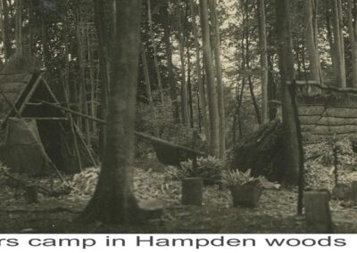 Bodgers in Hampden Wood c1910