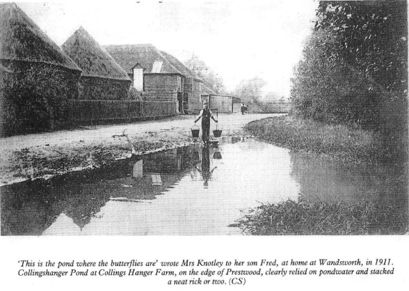 Collings Hanger Farm c1911 Collings Hanger Farm c1911
